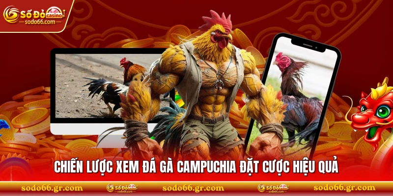 Chiến lược xem đá gà Campuchia đặt cược hiệu quả 