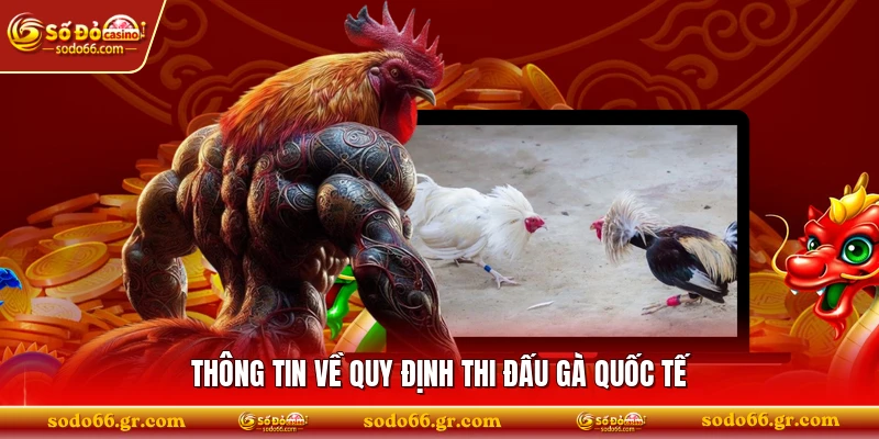 Thông tin về quy định thi đấu gà quốc tế