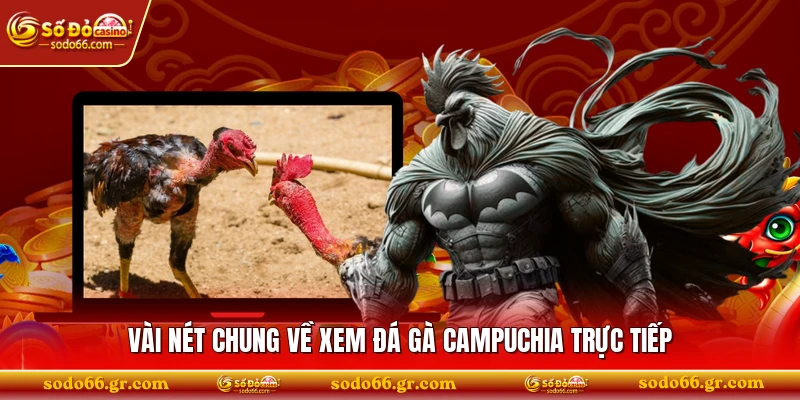 Vài nét chung về xem đá gà Campuchia trực tiếp